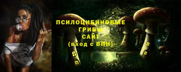 шишки Алзамай
