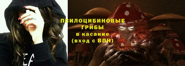 шишки Алзамай