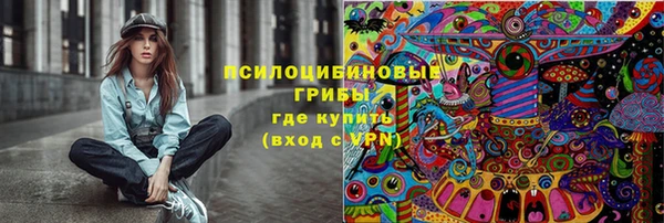 шишки Алзамай