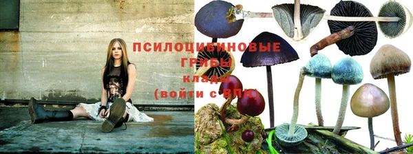 таблы Алексеевка