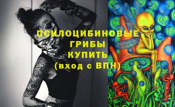 шишки Алзамай