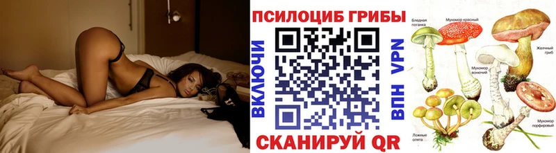 Галлюциногенные грибы мицелий  где можно купить наркотик  Сасово 